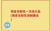 铁皮石斛花一次泡几朵(铁皮石斛花泡制建议)