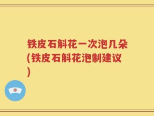 铁皮石斛花一次泡几朵(铁皮石斛花泡制建议)