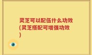 灵芝可以配伍什么功效(灵芝搭配可增强功效)