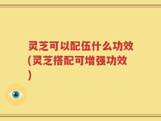 灵芝可以配伍什么功效(灵芝搭配可增强功效)