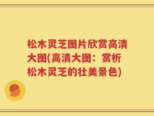 松木灵芝图片欣赏高清大图(高清大图：赏析松木灵芝的壮美景色)