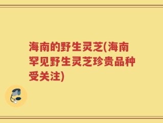 海南的野生灵芝(海南罕见野生灵芝珍贵品种受关注)