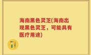 海南黑色灵芝(海南出现黑色灵芝，可能具有医疗用途)