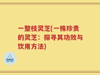 一整枝灵芝(一株珍贵的灵芝：探寻其功效与饮用方法)
