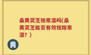 桑黄灵芝祛寒湿吗(桑黄灵芝能否有效祛除寒湿？)
