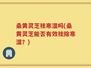 桑黄灵芝祛寒湿吗(桑黄灵芝能否有效祛除寒湿？)