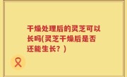 干燥处理后的灵芝可以长吗(灵芝干燥后是否还能生长？)