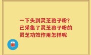 一下头到灵芝孢子粉？已采集了灵芝孢子粉的灵芝功效作用怎样呢