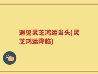 遇见灵芝鸿运当头(灵芝鸿运降临)