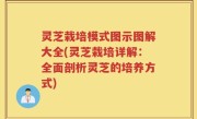 灵芝栽培模式图示图解大全(灵芝栽培详解：全面剖析灵芝的培养方式)