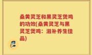 桑黄灵芝和黑灵芝煲鸡的功效(桑黄灵芝与黑灵芝煲鸡：滋补养生佳品)