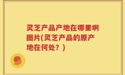 灵芝产品产地在哪里啊图片(灵芝产品的原产地在何处？)