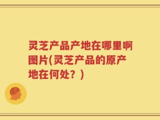 灵芝产品产地在哪里啊图片(灵芝产品的原产地在何处？)