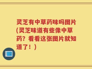 灵芝有中草药味吗图片(灵芝味道有些像中草药？看看这张图片就知道了！)