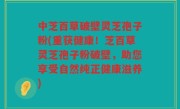中芝百草破壁灵芝孢子粉(重获健康！芝百草灵芝孢子粉破壁，助您享受自然纯正健康滋养)