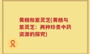 黄精和紫灵芝(黄精与紫灵芝：两种珍贵中药资源的探究)