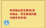 贵州独山灵芝基地(贵州独山：灵芝基地闪耀中国中药市场)