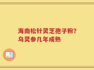 海南松针灵芝孢子粉？乌灵参几年成熟
