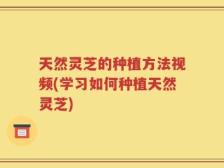 天然灵芝的种植方法视频(学习如何种植天然灵芝)