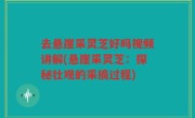 去悬崖采灵芝好吗视频讲解(悬崖采灵芝：探秘壮观的采摘过程)