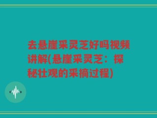 去悬崖采灵芝好吗视频讲解(悬崖采灵芝：探秘壮观的采摘过程)