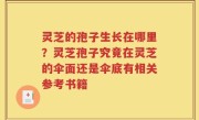 灵芝的孢子生长在哪里？灵芝孢子究竟在灵芝的伞面还是伞底有相关参考书籍
