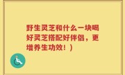 野生灵芝和什么一块喝好灵芝搭配好伴侣，更增养生功效！)