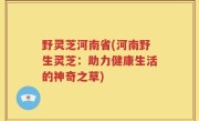 野灵芝河南省(河南野生灵芝：助力健康生活的神奇之草)
