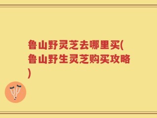 鲁山野灵芝去哪里买(鲁山野生灵芝购买攻略)