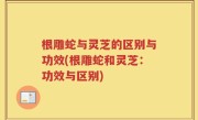 根雕蛇与灵芝的区别与功效(根雕蛇和灵芝：功效与区别)