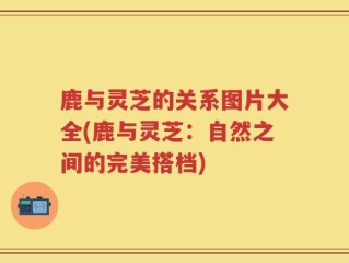 鹿与灵芝的关系图片大全(鹿与灵芝：自然之间的完美搭档)