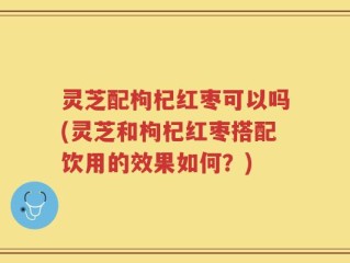 灵芝配枸杞红枣可以吗(灵芝和枸杞红枣搭配饮用的效果如何？)