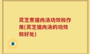 灵芝煮猪肉汤功效和作用(灵芝猪肉汤的功效和好处)