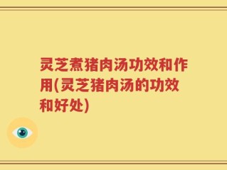 灵芝煮猪肉汤功效和作用(灵芝猪肉汤的功效和好处)