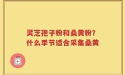 灵芝孢子粉和桑黄粉？什么季节适合采集桑黄