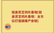 冠县灵芝切片基地(冠县灵芝切片基地：全方位打造健康产业链)