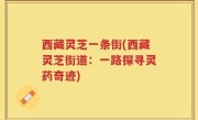 西藏灵芝一条街(西藏灵芝街道：一路探寻灵药奇迹)