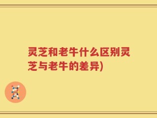 灵芝和老牛什么区别灵芝与老牛的差异)