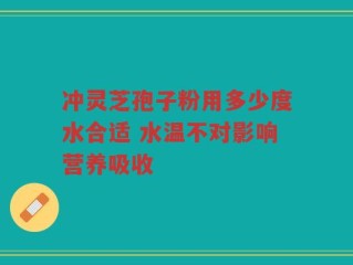 冲灵芝孢子粉用多少度水合适 水温不对影响营养吸收