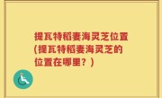提瓦特稻妻海灵芝位置(提瓦特稻妻海灵芝的位置在哪里？)