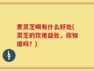 煮灵芝喝有什么好处(灵芝的饮用益处，你知道吗？)