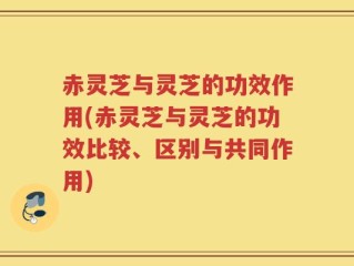 赤灵芝与灵芝的功效作用(赤灵芝与灵芝的功效比较、区别与共同作用)