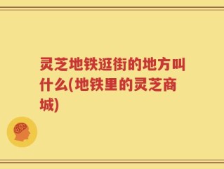 灵芝地铁逛街的地方叫什么(地铁里的灵芝商城)