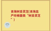青海树舌灵芝(青海出产珍稀菌类“树舌灵芝”)