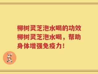 柳树灵芝泡水喝的功效柳树灵芝泡水喝，帮助身体增强免疫力！