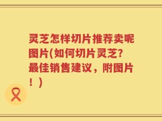 灵芝怎样切片推荐卖呢图片(如何切片灵芝？最佳销售建议，附图片！)