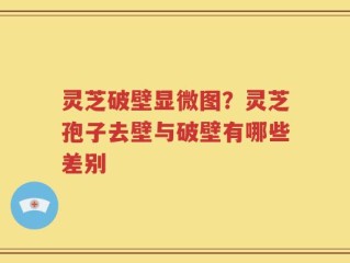 灵芝破壁显微图？灵芝孢子去壁与破壁有哪些差别