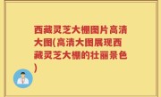 西藏灵芝大棚图片高清大图(高清大图展现西藏灵芝大棚的壮丽景色)