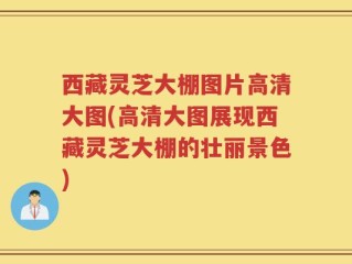 西藏灵芝大棚图片高清大图(高清大图展现西藏灵芝大棚的壮丽景色)