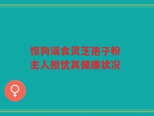 惊狗误食灵芝孢子粉 主人担忧其健康状况